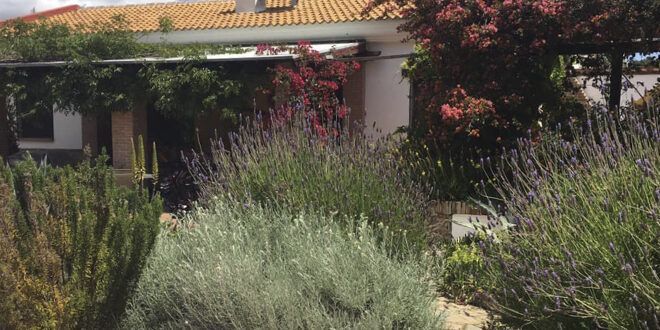 Cortijo Syrona, Guaro