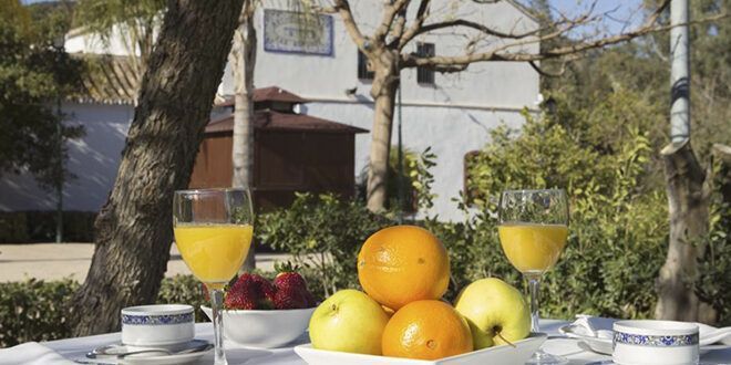 Hotel Cortijo San Antonio - Casarabonela
