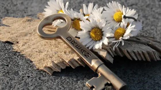 how to achieve your dreams - blog 3