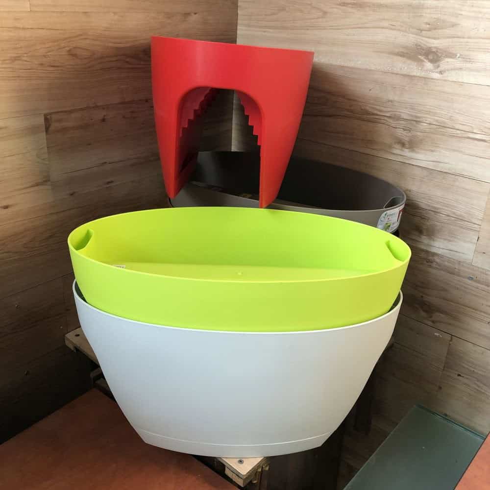 אדנית "גרינבו"