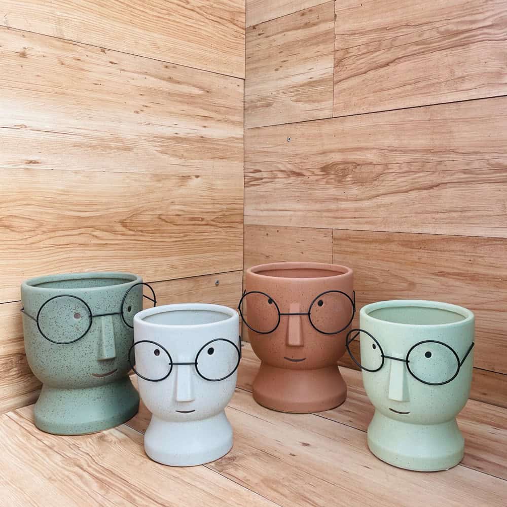 עציץ משקפיים