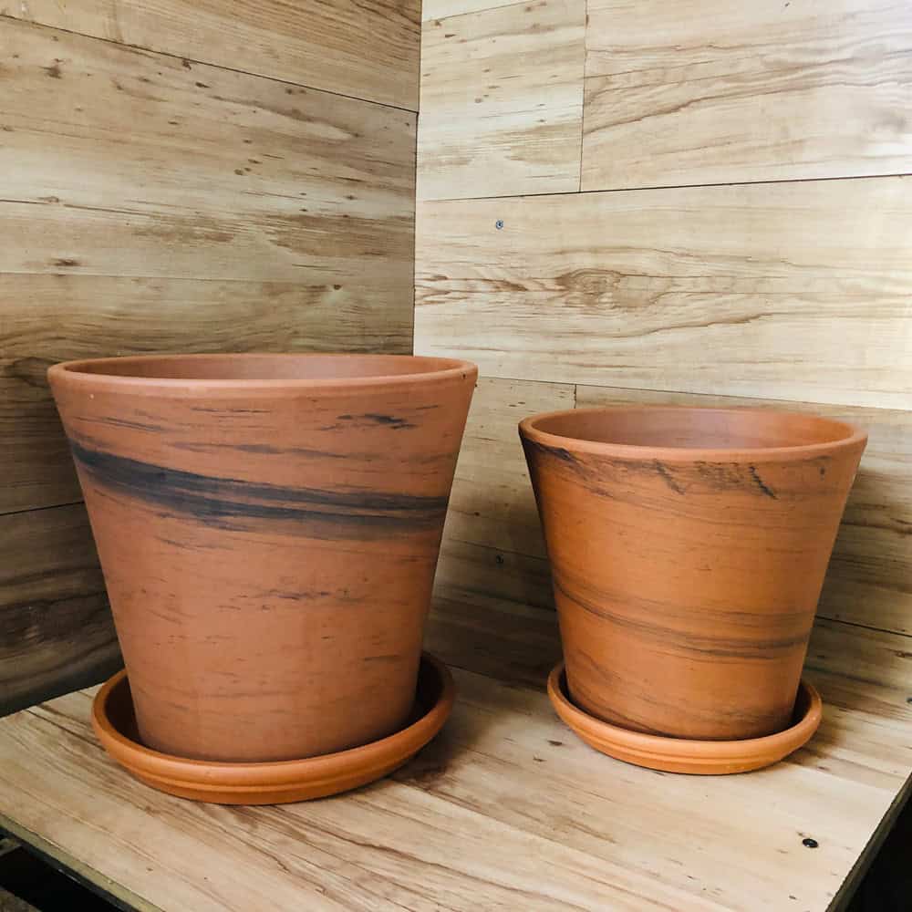 כלי טרקוטה קונוס מגוון + צלחת