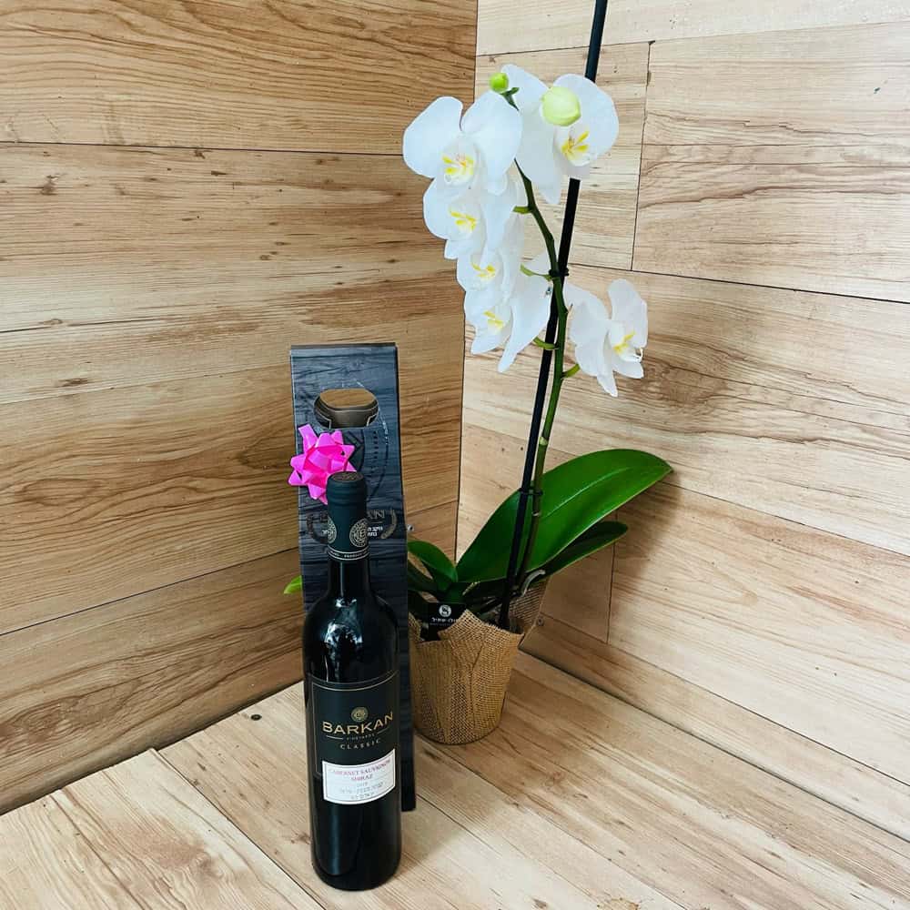 סחלב לבן עם ענף 1 + יין כשר