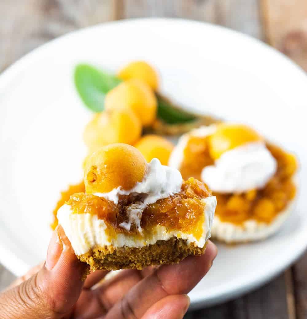 loquat vegan mini cheesecake, cream cashew filling blended with sugar, vegan and creamy cashews and cream cheese blended. poured over graham cracker crust topped with loquat jam and garnished with vegan loquat jam, garnished with 1 orange fruit
