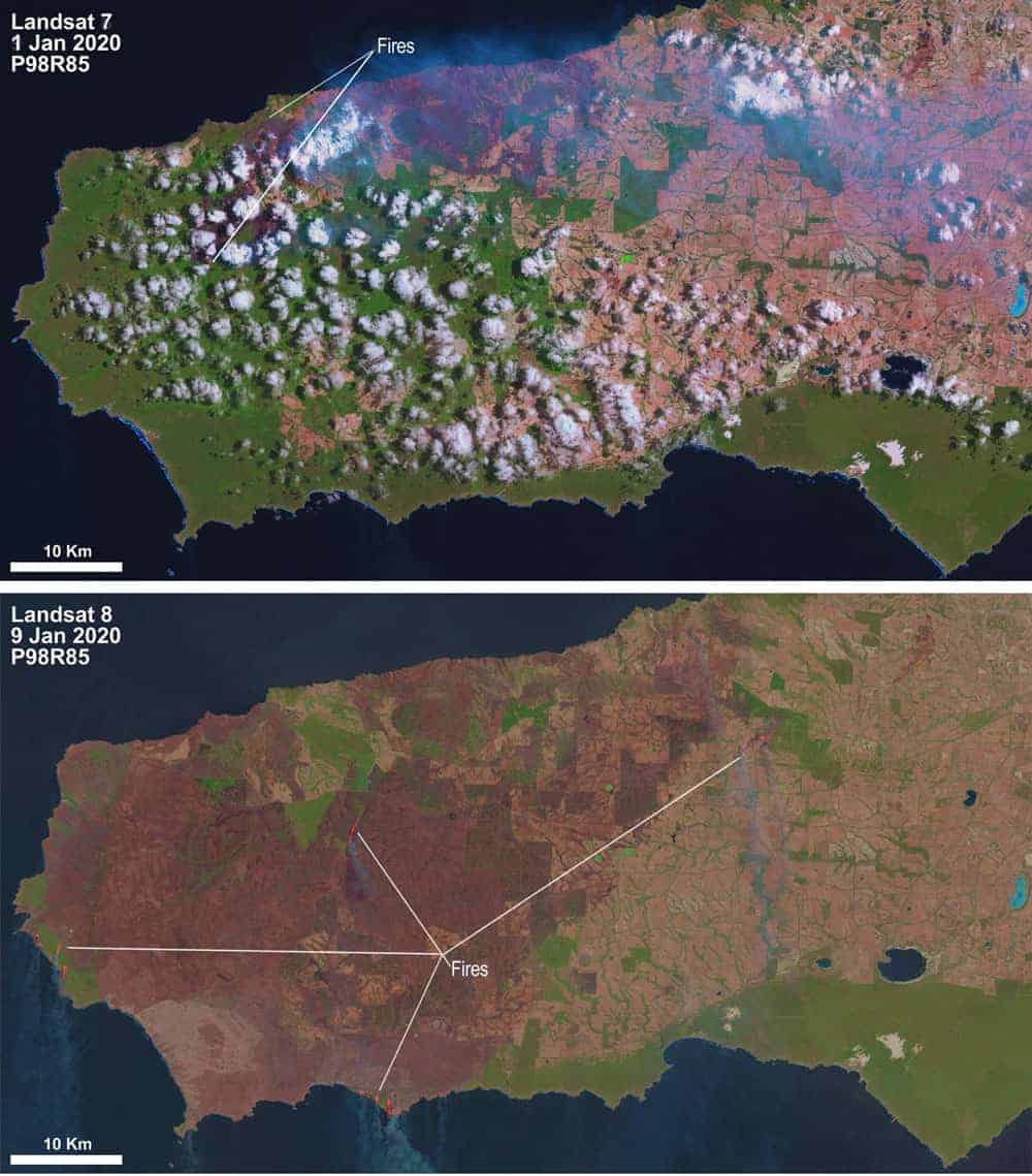 Satellite imagery shows how devastating the bushfires have been on Kangaroo Island. Source: USGS