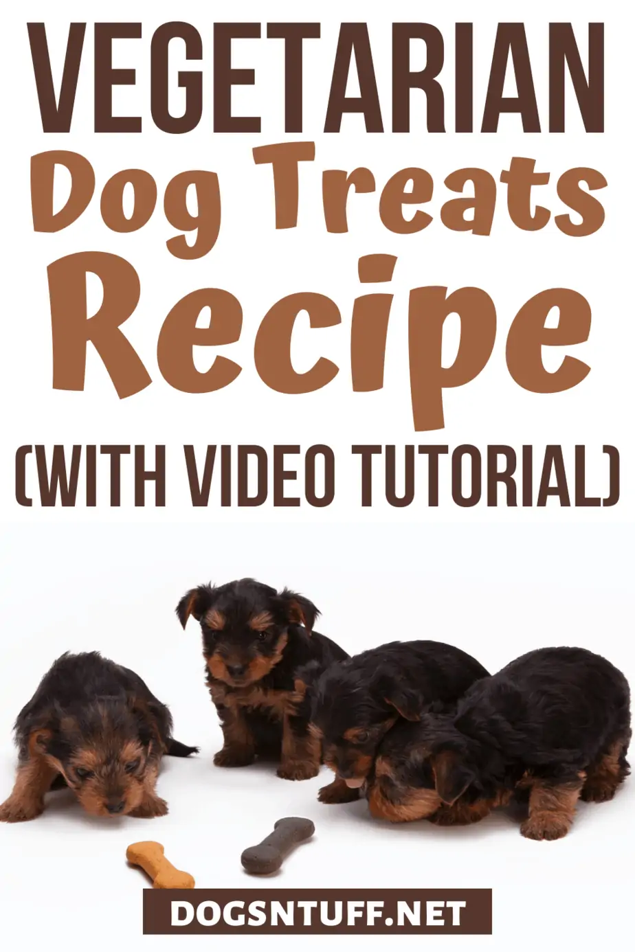 homemade hypoallergenic dog treats