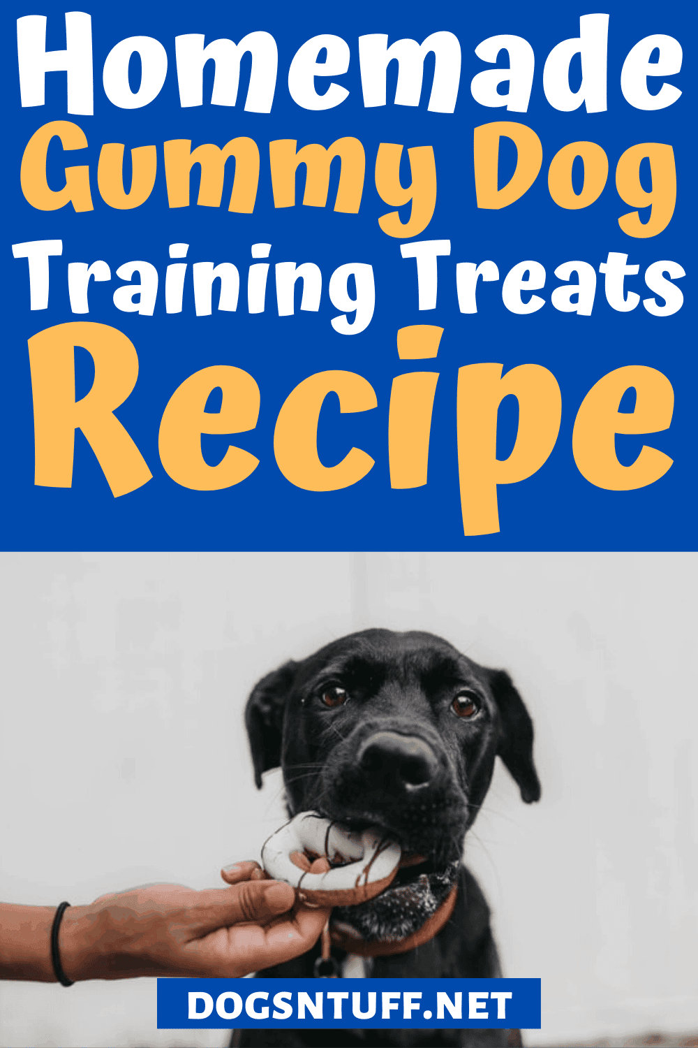 Homemade Tuna Gummy Dog Treats Recipe