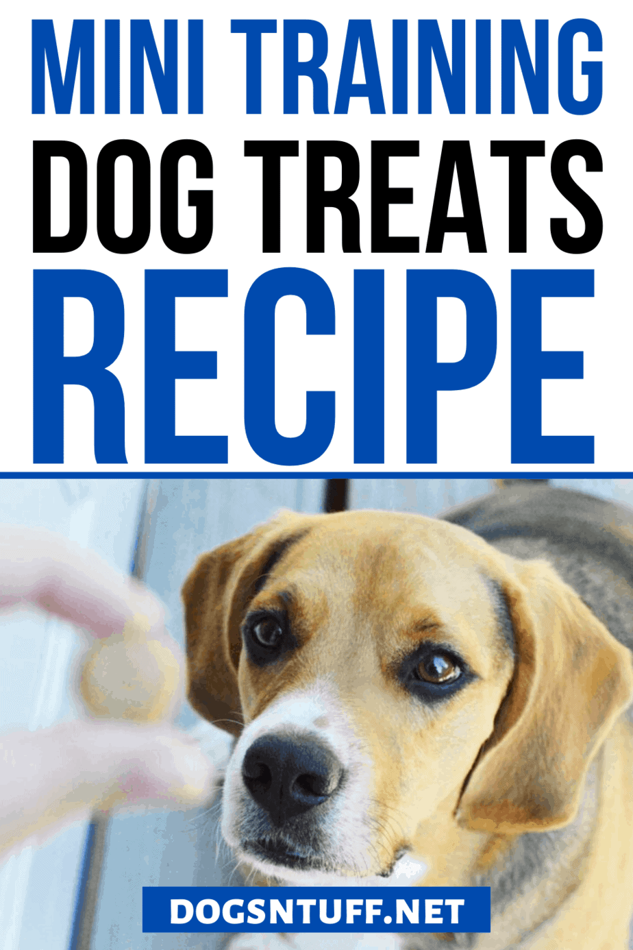 Is Whole-wheat Flour Good for Dogs?