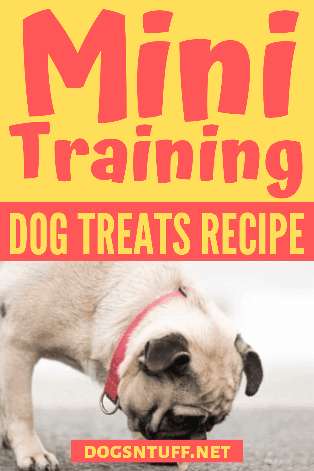 Dog Training Mini Treats Instructions