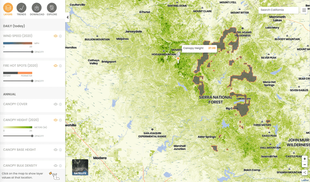 Screenshot from the Forest Observatory site.