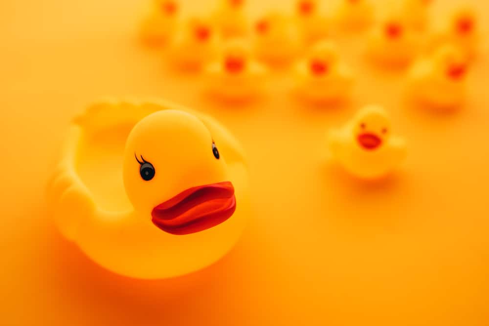 rubber duck debugging data