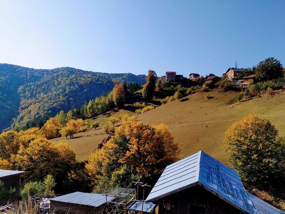 грашево