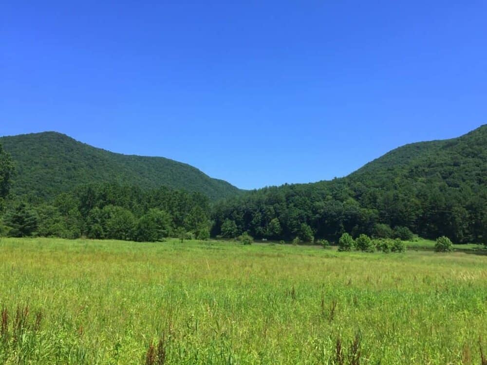lowlands trail landscape at sinnemahoning state park 2