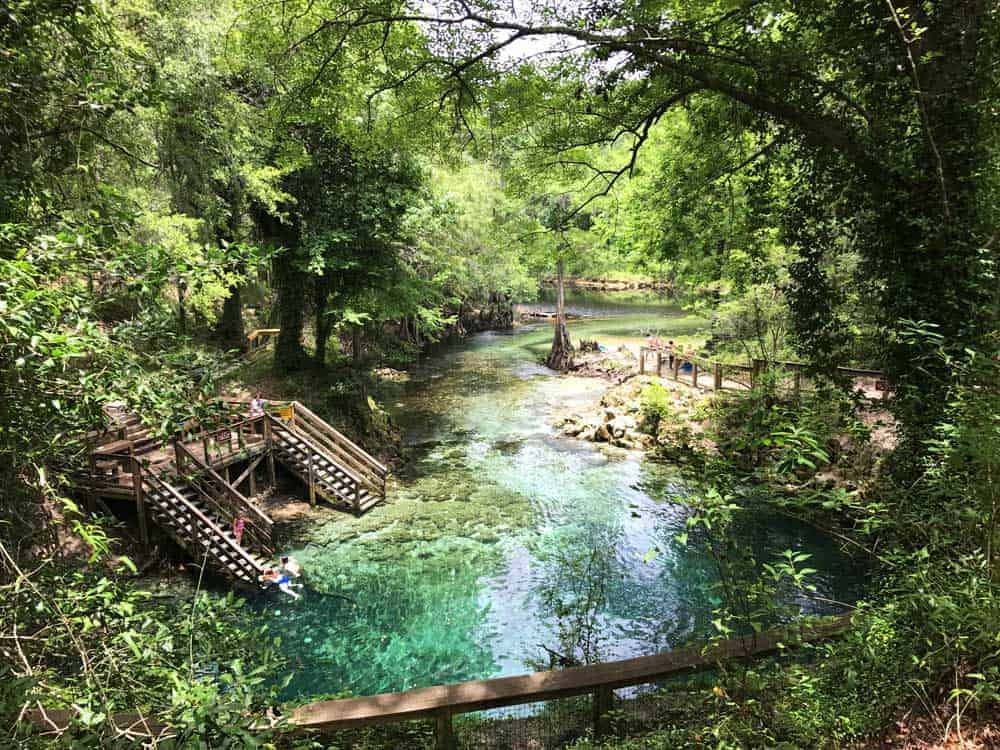 Dive Into Florida’s Emerald Oasis: Lafayette Blue Spring State Park