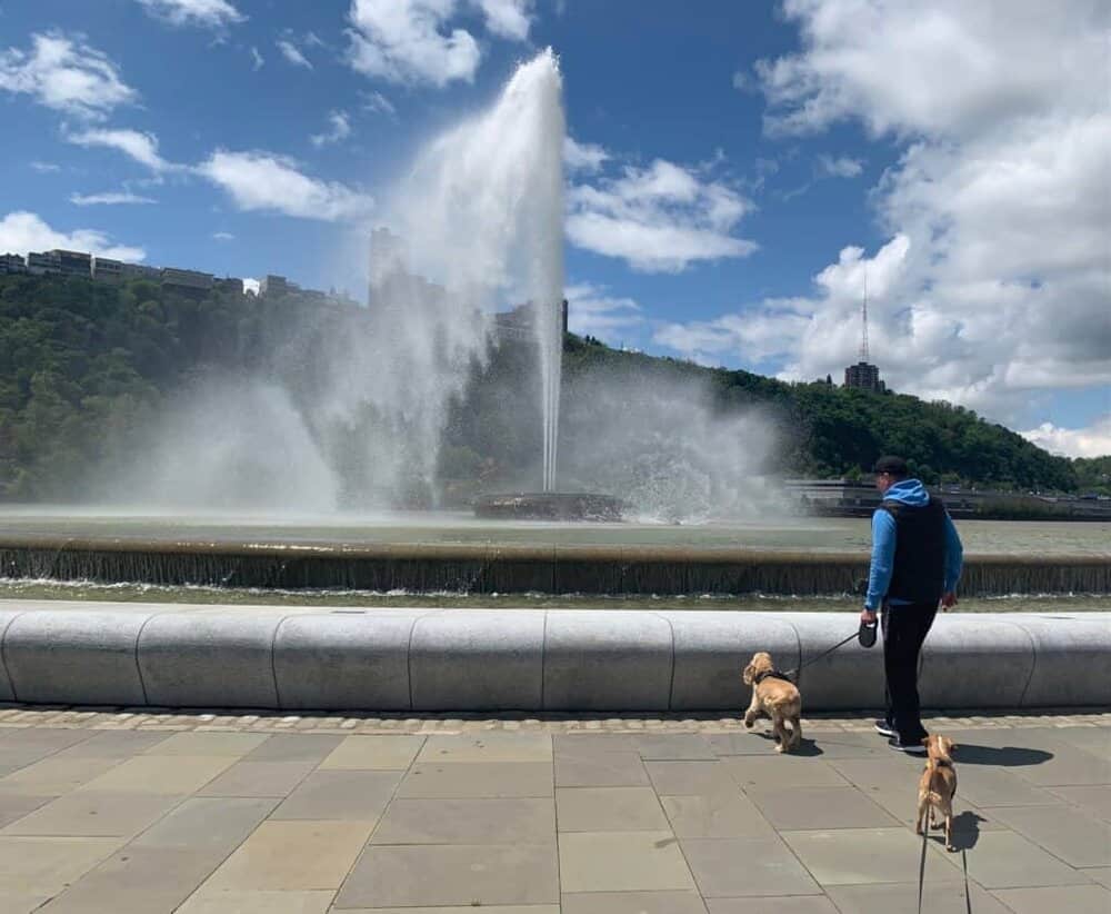 franklin and hazel at point state park fountain