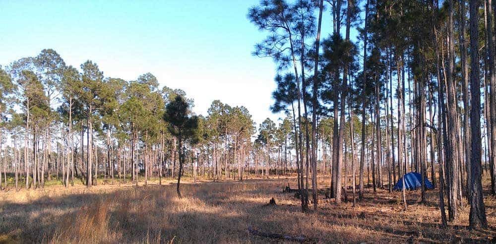 Camping In Florida Floridarambler Com