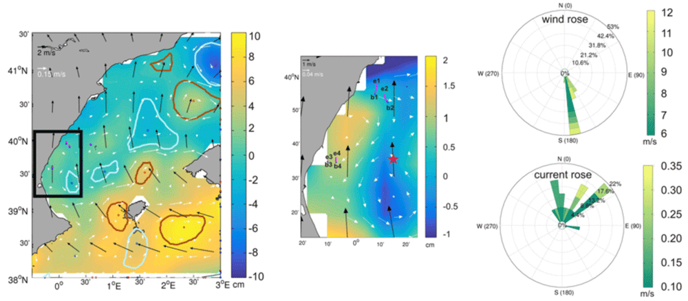 An example map showing a 6-hours snapshot (left panel) on 27 August 2012 of ADT (cm) from altimetry and the corresponding 6-hour mean wind field as obtained from CCMP between 03:00–09:00 hours, together with several seabird tracks driven by the local wind. Figure: Sánchez-Román et al., 2019.