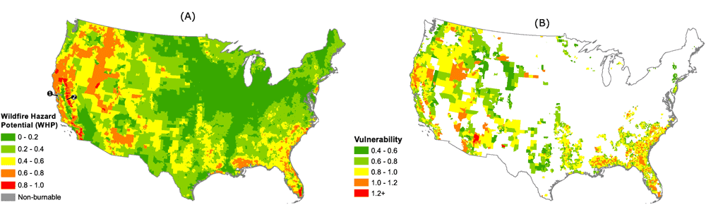 A) Average WHP scores for census tracts in the continental U.S. (n = 71,901). The relative magnitude shifts when researchers considerered the social and economic characteristics of census tracts in their vulnerability to wildfire (B). Only those census tracts with a moderate to very high WHP score are represented in (n = 6,304). In 2A, the San Francisco Bay Area suburbs and eastern Sierra Nevada Mountain communities are labeled as 1 and 2, respectively.
