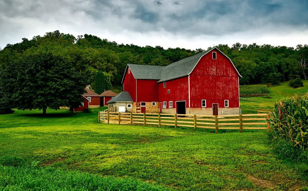 Homesteading