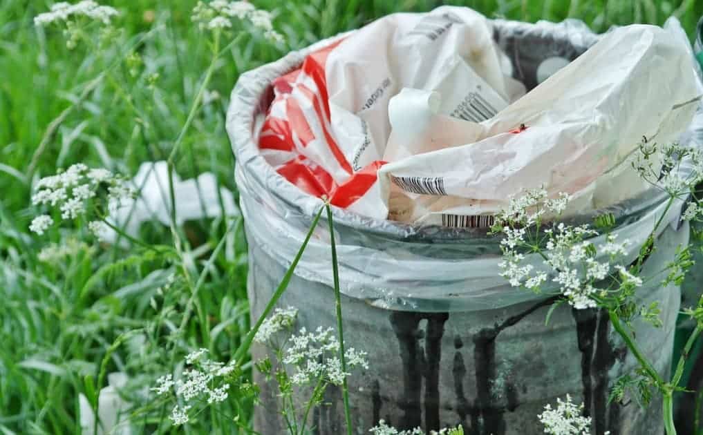 15 Ways to Reduce Your Waste