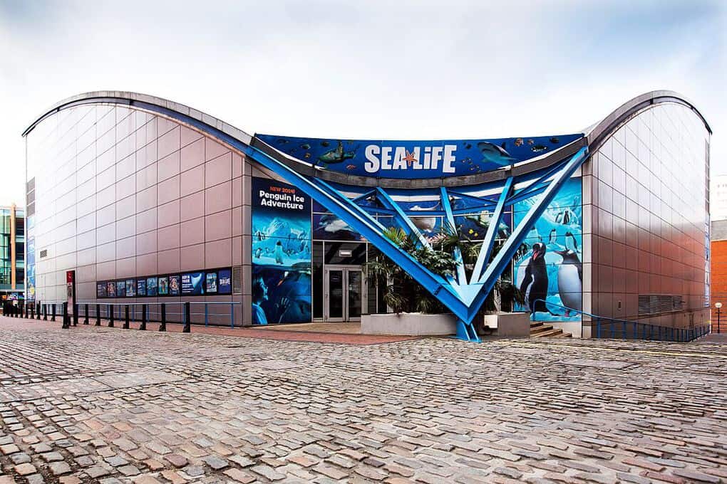 Sealife centre birmingham