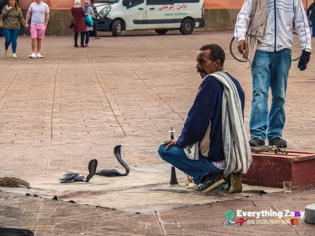 Snake Charmer in Marrakech