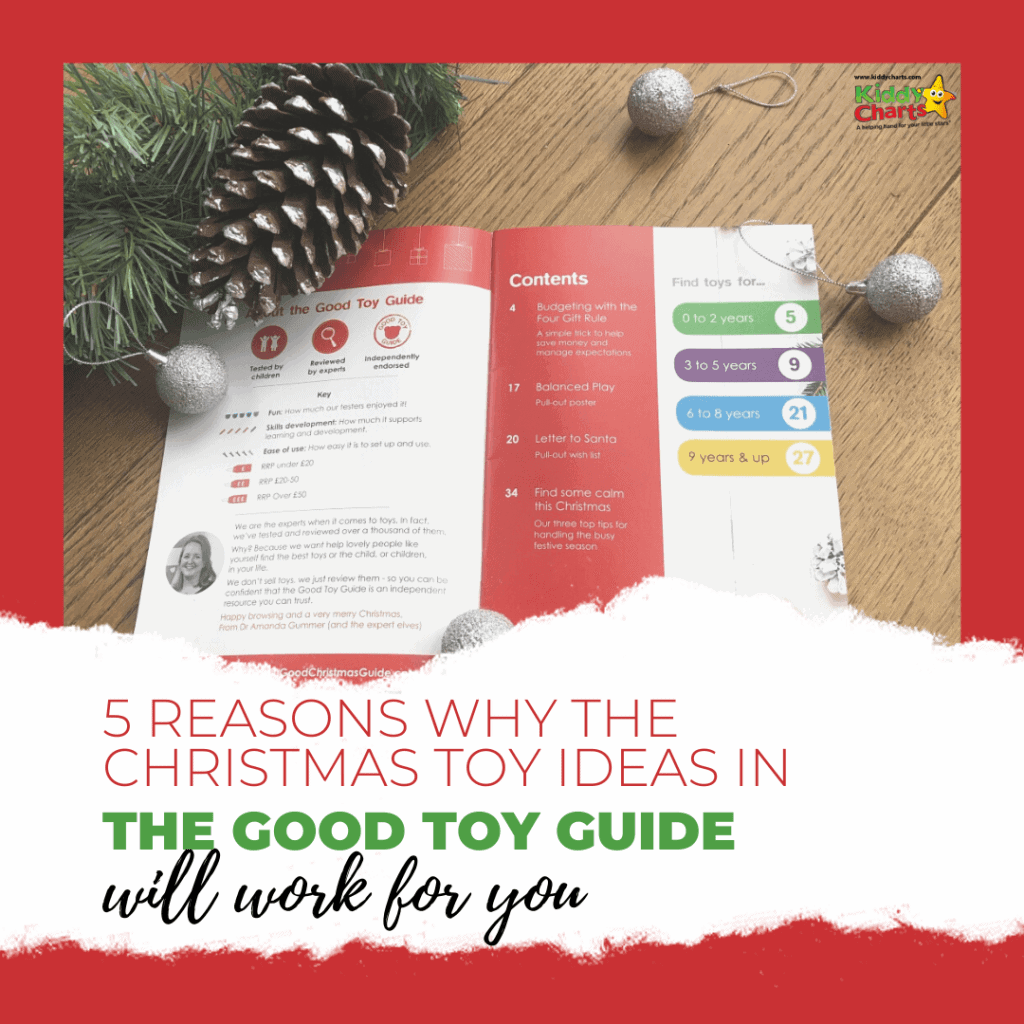 5 reasons why they the Christmas toy ideas in the Good Toy Guide will work for you.