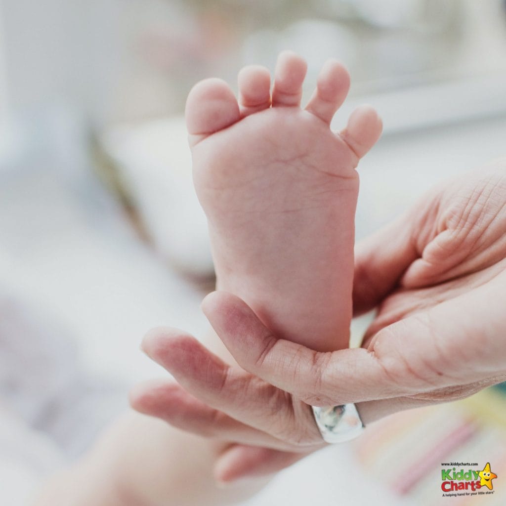 baby's foot