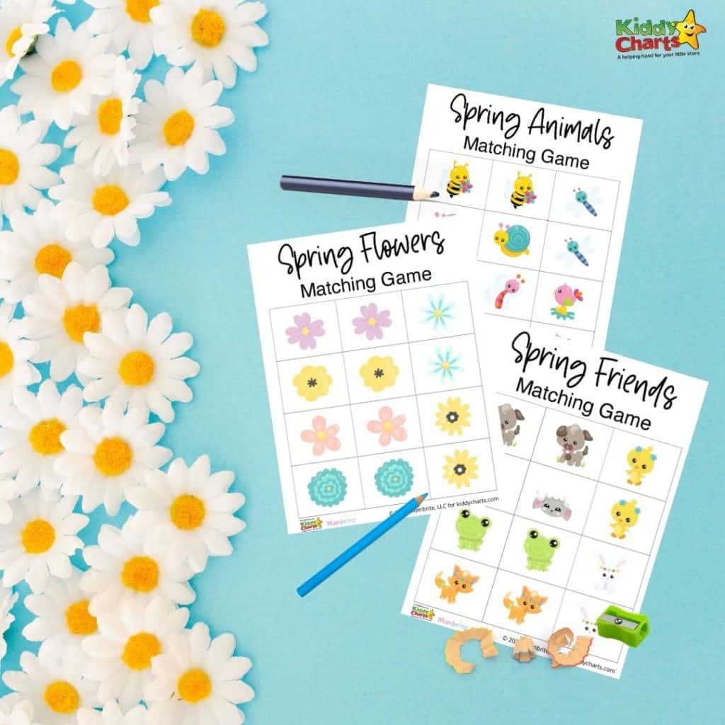 Spring memory matching games