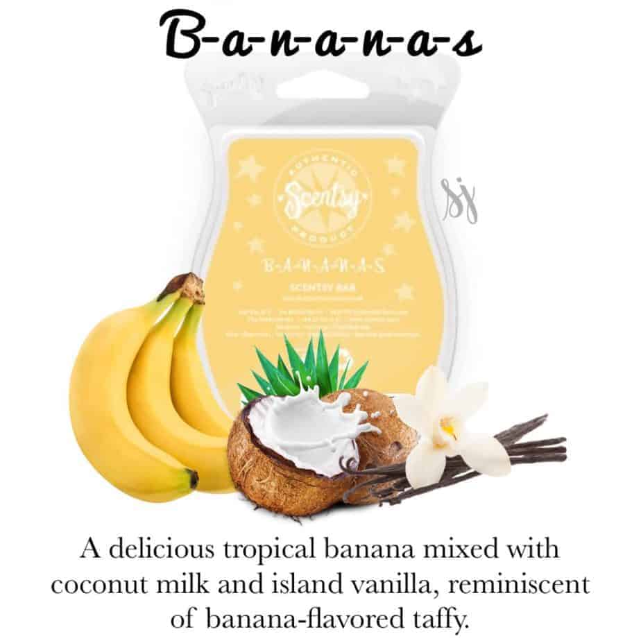 B-a-n-a-n-a-s Scentsy Bar