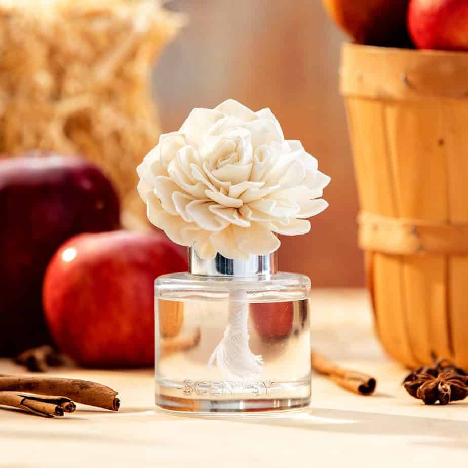 2020 Autumn Collection Fragrance Flower- Apple peel, spiced white pumpkin and a touch of oak