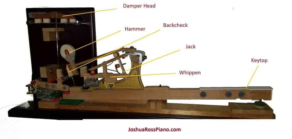 piano hammer action diagram