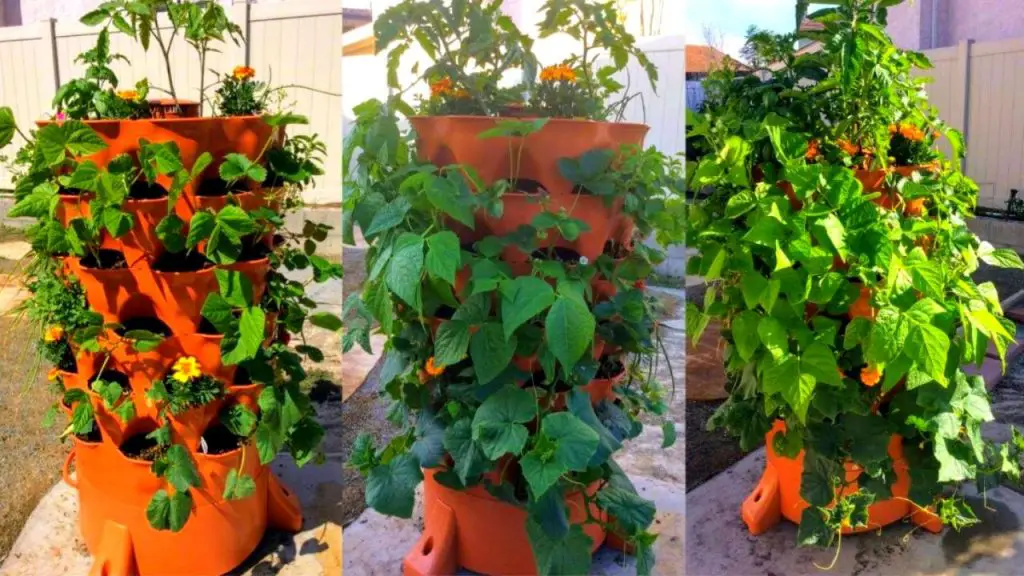 Garden Tower
