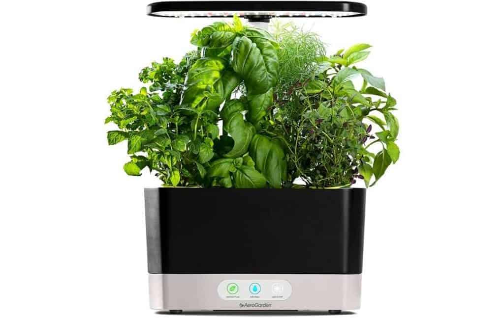 intelligente Gartenideen