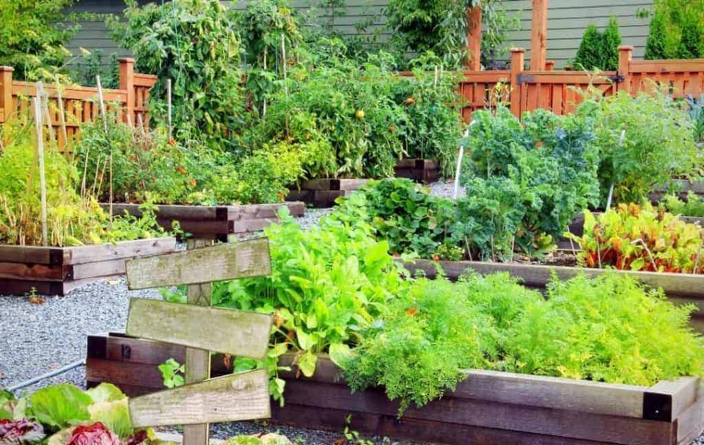 Garten ÖKOSYSTEM