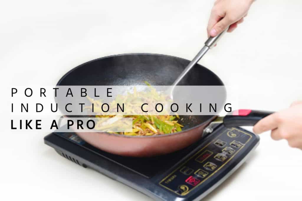 induction stove portable, best induction cooktop portable