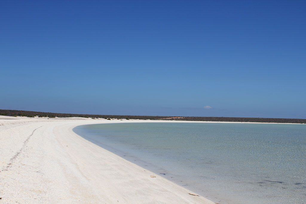 40 km langer Shell Beach in der Shark Bay
