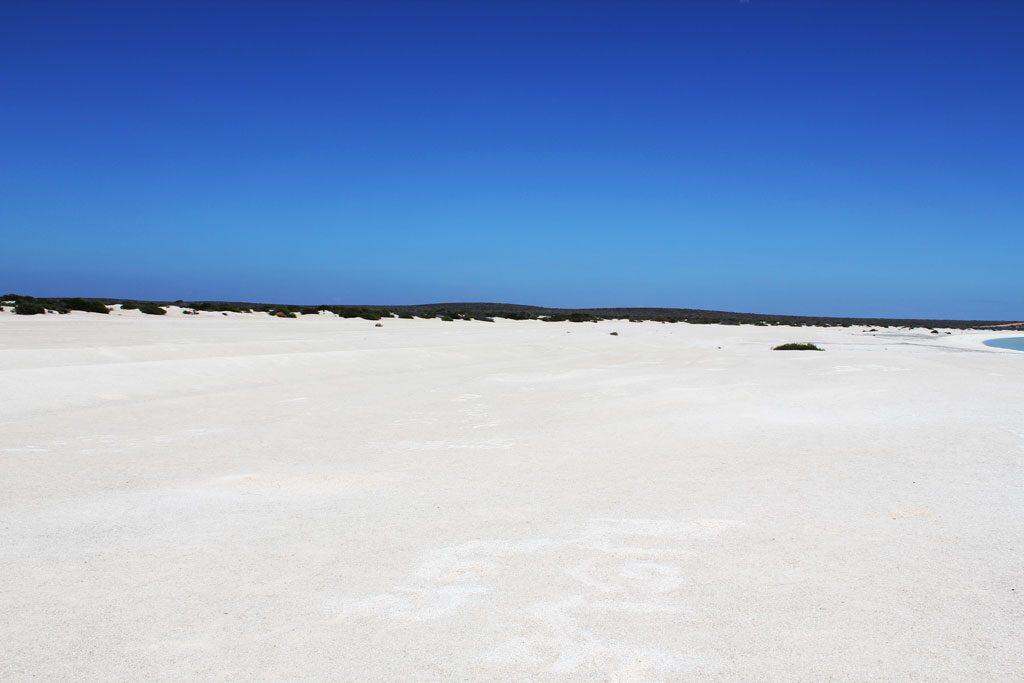 Shell Beach an der Shark Bay