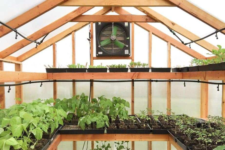 greenhouse airflow airflow greenhouse