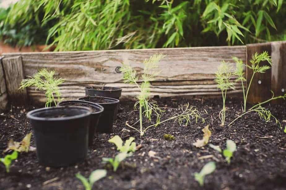 Step by Step DIY Raised Bed Greenhouse Cover
