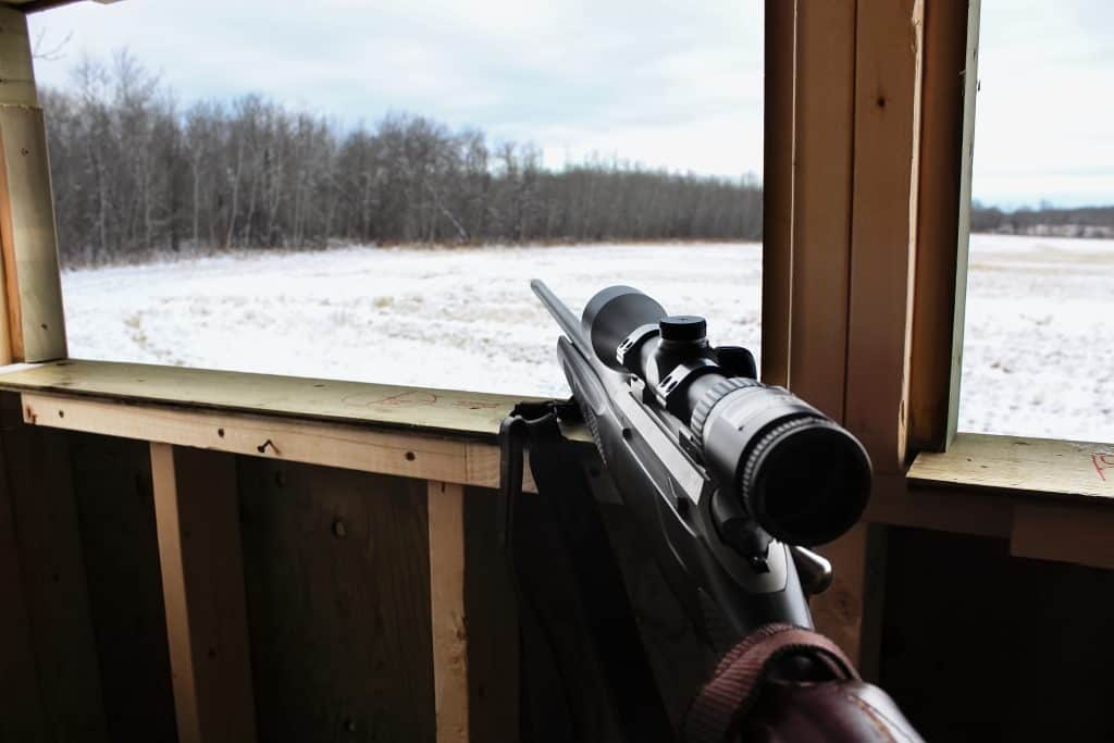 Best Hunting Optics for Deer