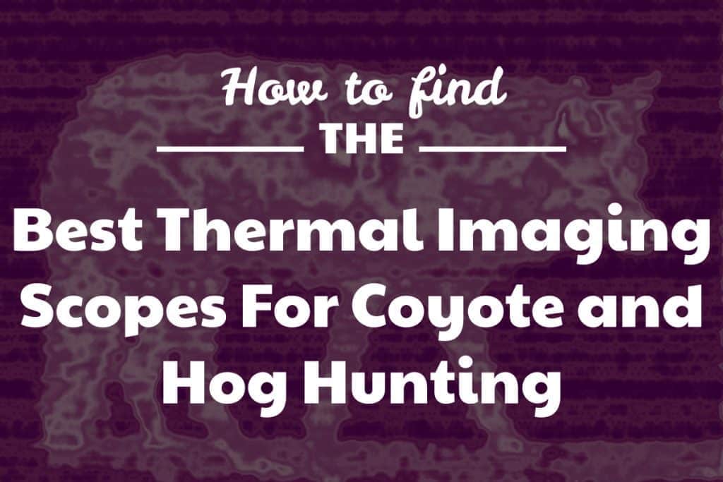 Best Thermal Imaging Scopes For Hunting Coyote and Hog