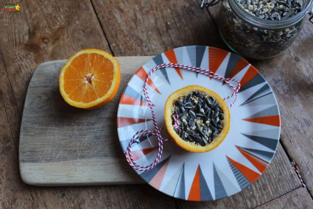 how to bird watch with kids and make your own bird feeder