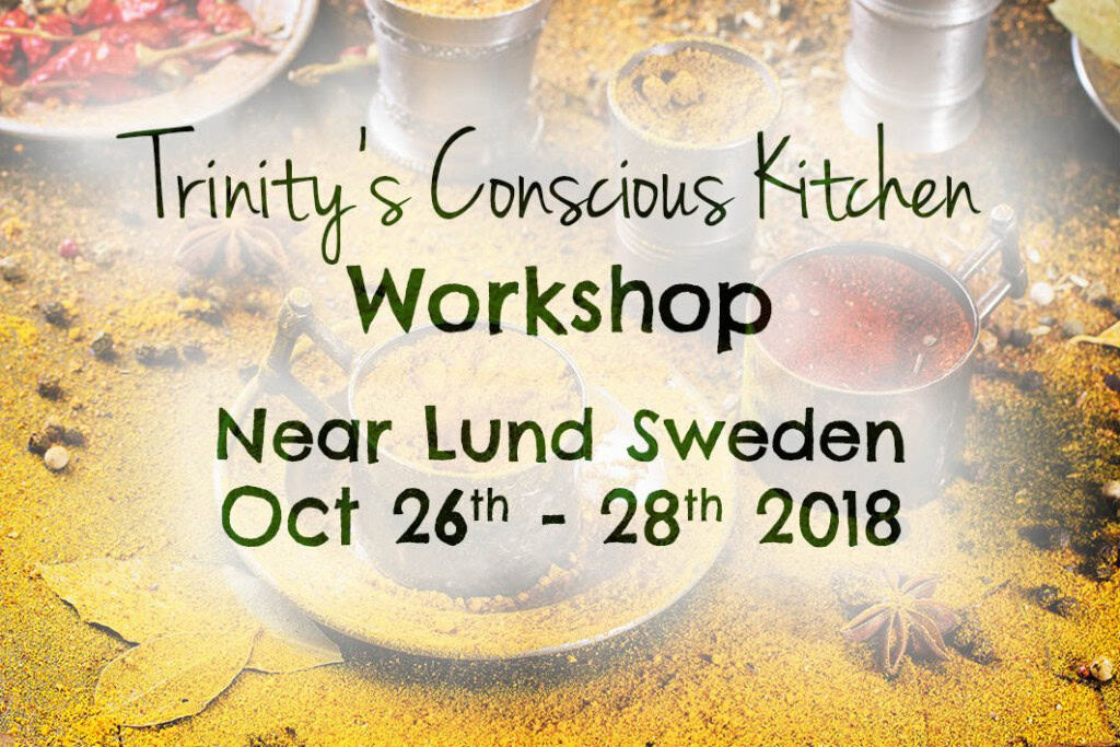 Sweden workshop with Trinity