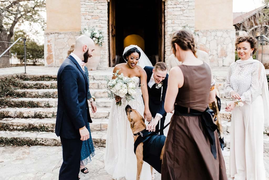 sln_7665 Gametime Dog Services | Wedding Day Dog Attendant