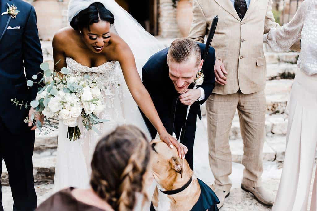 sln_7693 Gametime Dog Services | Wedding Day Dog Attendant