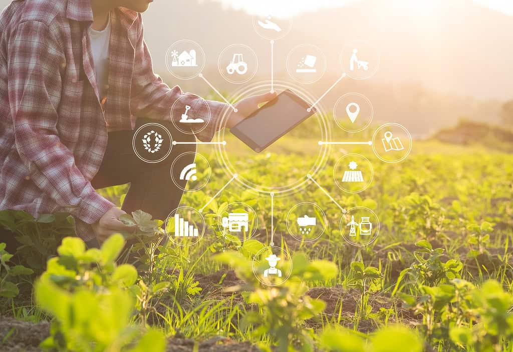 Farming cctv Sector Farming cctv