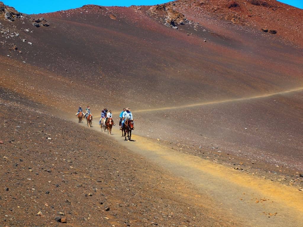 Best Hawaii tours