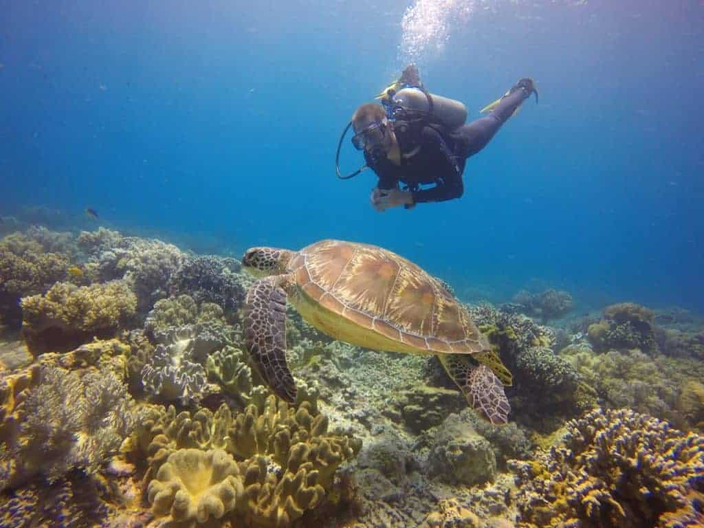 Komodo island, Indonesia.