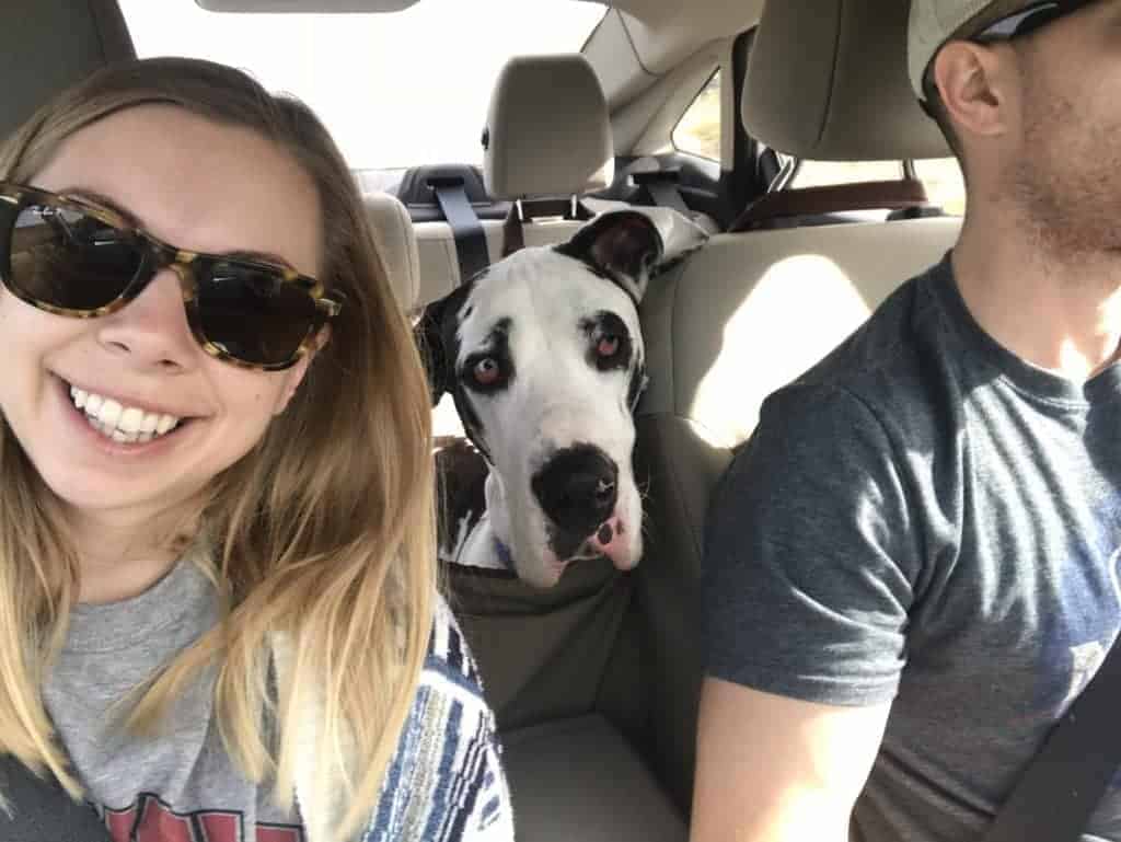 The author and her dog on a road trip.